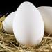 Goose eggs benefits and harms.  The whole truth about nutrition.  Goose eggs.  Harm of goose eggs and contraindications